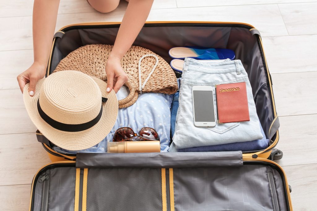 valise croisière