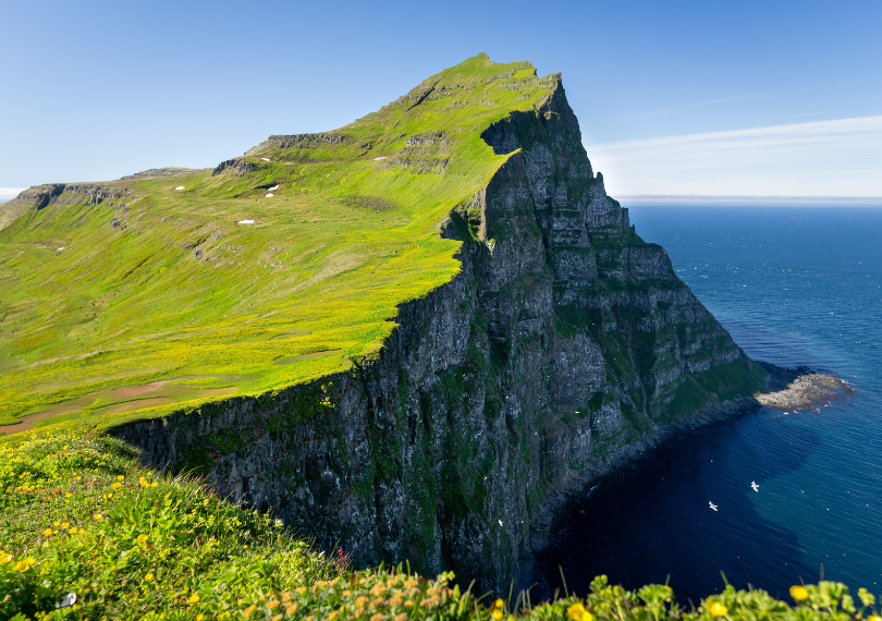 Islande, falaises de Hornstrandir